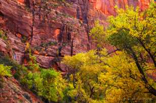 Zion, Fall color-4643.jpg Zion, Fall color-4643.jpg